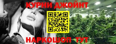 гидропоника Ярославль