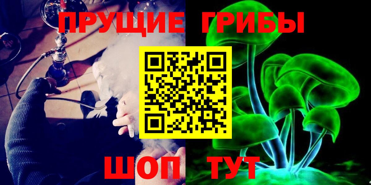 Михайловка  Псилоцибиновые грибы Psilocybe  Вход с VPN 